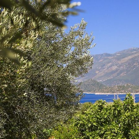 Kaktus Cakil Villa Kaş Luaran gambar