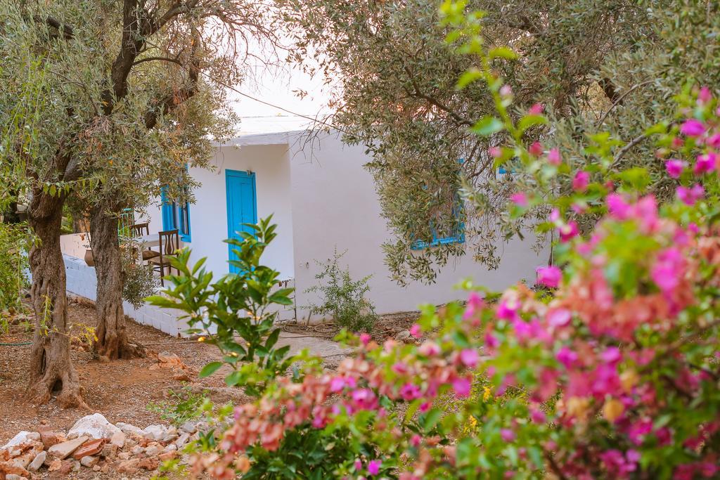 Kaktus Cakil Villa Kaş Luaran gambar