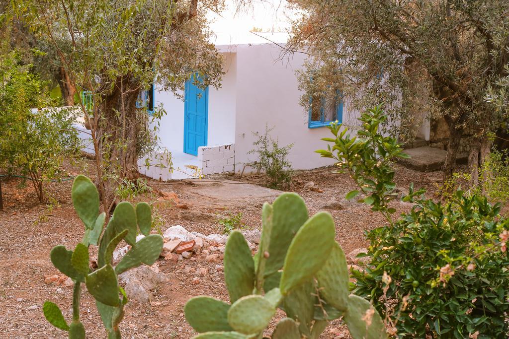 Kaktus Cakil Villa Kaş Luaran gambar