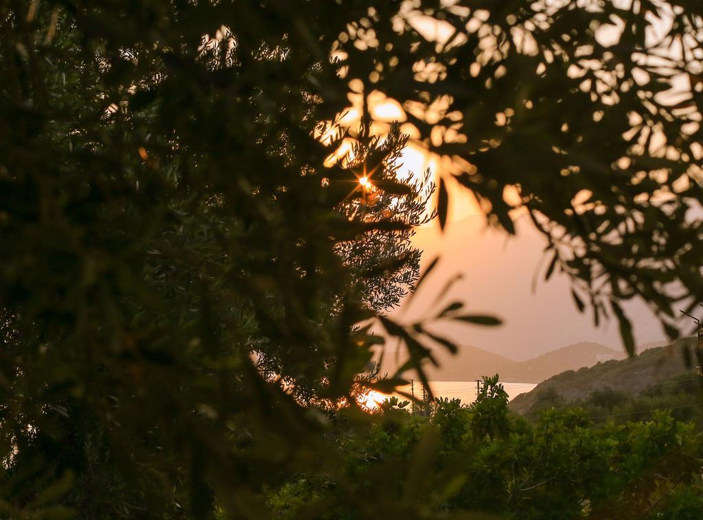 Kaktus Cakil Villa Kaş Luaran gambar