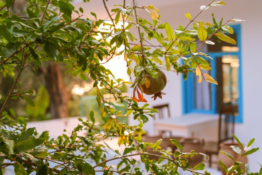 Kaktus Cakil Villa Kaş Luaran gambar