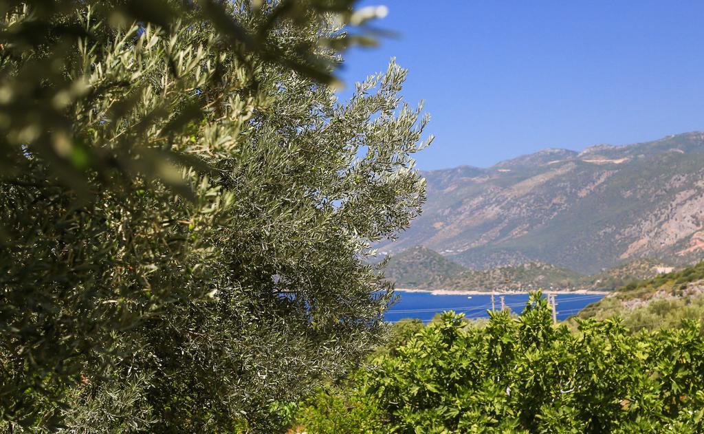 Kaktus Cakil Villa Kaş Luaran gambar